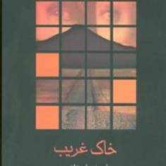 خاک-غریب-فریده-شجاعی