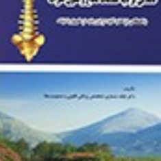 تاملی-بر-دیه-صدمات-نخاع-و-ستون-فقرات-بابک-سمساری