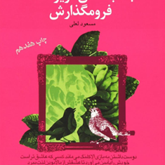 شماعظیمترازآنی-هستیدکه-می-اندیشید4جانب-عشق-عزیز-است-فرو-مگذارشلعلی