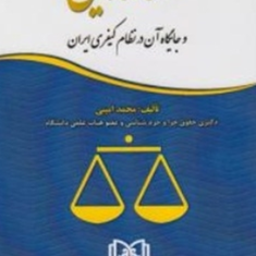 قضا-زدایی-و-جایگاه-آن-در-نظام-کیفری-محمد-امینی