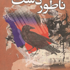 ناطور-دشت-جی-دی-سلینجراحمد-کریمی