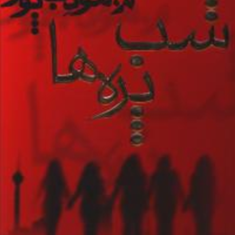شب-پره-ها-مودب-پور