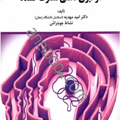 درگیری-ذهنی-مصرف-کنندهامید-مهدیه-نشاط-چوبتراش