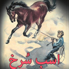 اسب-سرخ-جان-اشتاین-بک-مهدی-افشار