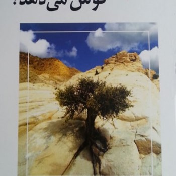 چه-کسی-به-من-گوش-می-دهد-جان-گری-کاظمی