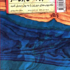 تکه-چوبهای-پولساز-حامد-شاه-سوندی