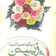 شادزیستن-را-چگونه-تجربه-کنیم-علی-باصری