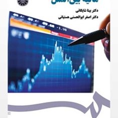 مالیه-بین-الملل-بیتاشایگانی-اصغرابوالحسنی-هستیانی