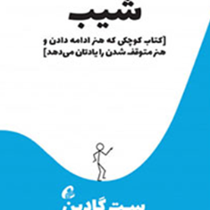 شیب-ست-گادین-امیرانصاری