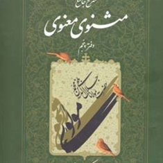شرح-جامع-مثنوی-معنوی-جلدپنجم-کریم-زمانی