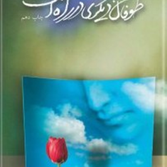 طوفان-دیگری-درراه-است-مهدی-شجاعی