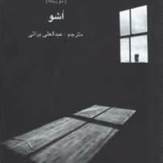 آفتاب-در-سایه