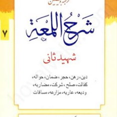 ترجمه-وتبیین-شرح-اللمعه-شهیدثانی-جلد7-دین-رهن-حجر-علی-شیروانی-محمدمسعودعباسی-زنجانی