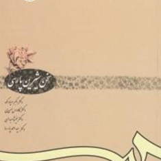 سخن-شیرین-پارسی-اکبرصیادکوه-حسن-لی-ویراست4