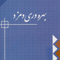 بهره-وری-و-مزد-علاالدین-ازوجی