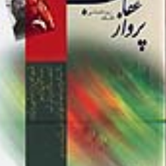 پرواز-عقاب