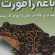 قورباغه-راقورت-بده-برایان-تریسی-شهره-رهبرآزاد