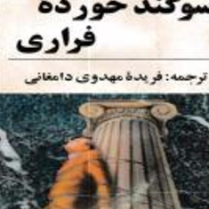سوگندخورده-فراری-جان-گریشام-فریده-مهدوی-دامغانی