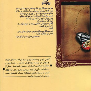 شما-عظیم-تر-از-آنی-هستید-که-می-اندیشید6-لعلی