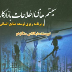 سیستمهای-اطلاعات-بازارکار-نیکلاس-منگزهو-الهام-امیری