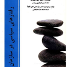 رفتارهای-سیاسی-درسازمان-دوبرین-علی-اکبر-افجه