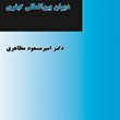 اصل-صلاحیت-تکمیلی-دیوان-بین-المللی-کیفریامیر-مسعود-مظاهری