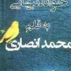 خواندنیهایی-به-قلم-محمد-انصاری