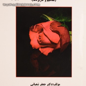 هوش-اخلاقی-مفاهیم-وکاربردها-جعفرشعبانی