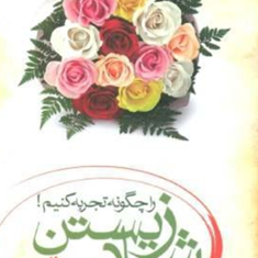 شادزیستن-راچگونه-تجربه-کنیم-جیبی-علی-باصری
