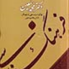 فرهنگ-فارسی-چکیده6جلدی-محمدمعین