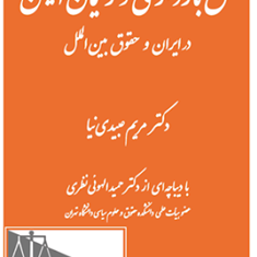 حق-بارداری-و-زایمان-ایمن-در-ایران-و-حقوق-بین-الملل-مریم-عبیدی-نیا