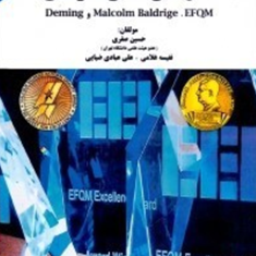 مدل-های-تعالی-سازمانیحسین-صفری-نفیسه-غلامی