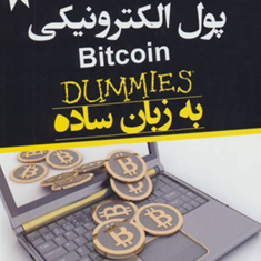 پول-الکترونیکی-شرکت-پریپتو-مهدی-خیرالهی