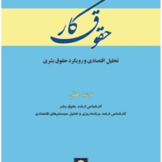 حقوق-کار-تحلیل-اقتصادی-رویکرد-حقوق-بشری-فرشید-هکی