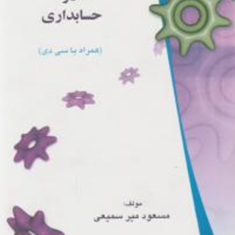 بکارگیری-اکسس-درحسابداریمسعود-میرسمیعی