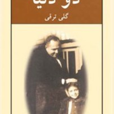 دو-دنیا-گلی-ترقی
