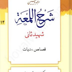 ترجمه-وتبیین-شرح-اللمعه-شهیدثانیجلد14-قصاص-دیات-علی-شیروانی-محمدمسعودعباسی-زنجانی