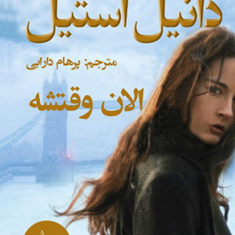 الان-وقتشه-دانیل-استیل-پرهام-دارایی