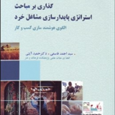 گذاری-برمباحث-استراتژی-پایدارسازی-مشاغل-خرد-احمد-قاسمی-حمید-آیتی