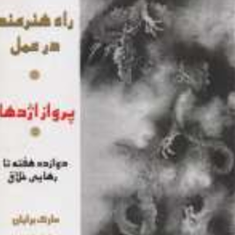 پرواز-اژدها-راه-هنرمند-در-عمل-مارک-برایان-سیمین-موحد