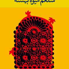 شلغم-میوه-بهشته-علی-محمدافغانی