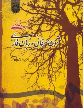 متون-عرفانی-به-زبان-فارسی2-عبدالوهاب-شاهرودی
