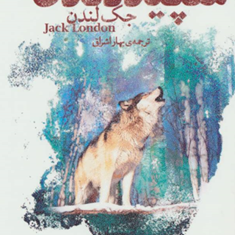 سپید-دندان-جک-لندن-بهار-اشراق