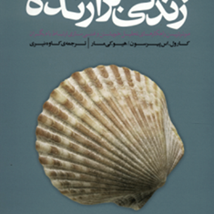 زندگی-برازنده-من-پیرسون-کی-مار-نیری