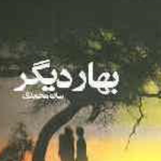 بهاردیگر-ساره-محمدی
