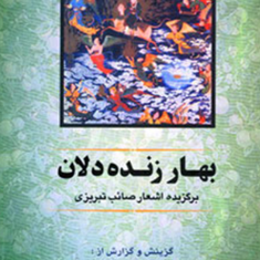 بهارزنده-دلان-صائب-تبریزی-اشرف-زاده