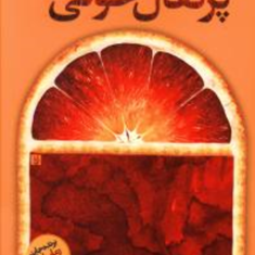 پرتغال-خونی-پروانه-سراوانی