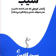 شیب-ست-گادین-امیر-انصاری