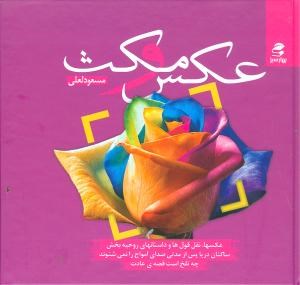 عکس-ومکث-لعلی