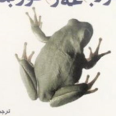 قورباغه-راقورت-بده-برایان-تریسی-افسانه-آریان